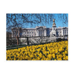 Buckingham Palace, London  flowers Post Cards