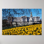 Buckingham Palace, London  flowers posters