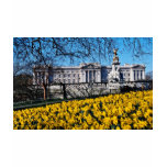 Buckingham Palace, London  flowers t-shirts
