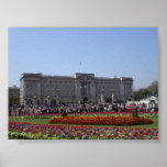 Buckingham posters