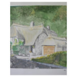 Buckland in the Moor flyers