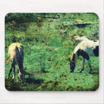 Buckskin and Pinto Mouse Pads