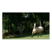 buckskin horse business card 2