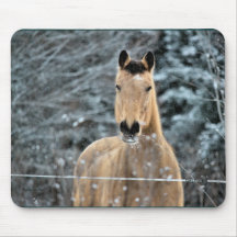Buckskin Horse Winter Mouse Pads