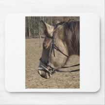 Buckskin Mare, head study Mousepad
