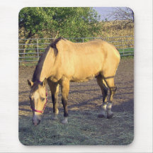 Buckskin Mousepad