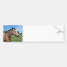 Buckskin Mustang Bumper Sticker