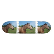 Buckskin Mustang Skateboard