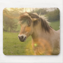 Buckskin Pony Mouse Pad