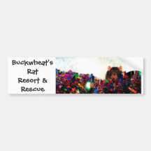 Buckwheat's Rat Resort & Rescue Bumper Stickers