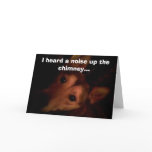 Bud, I heard a noise up the chimney... Cards
