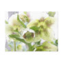 Bud To Blossom - White Hellebores Postcard