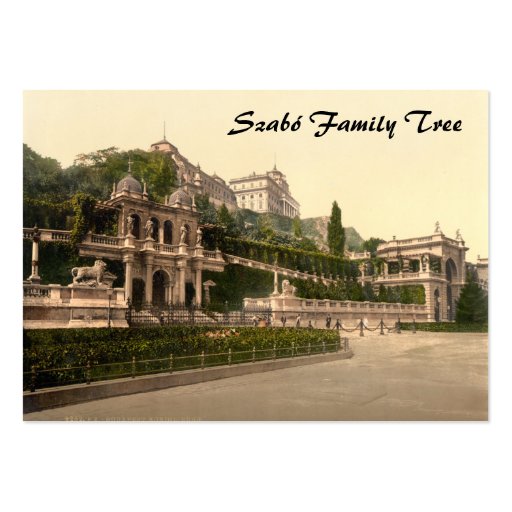 Buda Castle, Budapest, Hungary Business Card