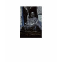 buddah_woodblock print, Zen t-shirts