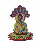 Buddha - 2011 as tshirt