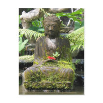 Buddha Bali