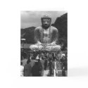 Buddha cards