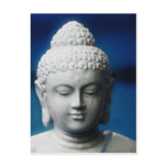 Buddha -  Enlightened One postcards