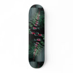 Buddha, Japan skateboards