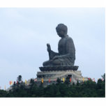 Buddha photo sculptures