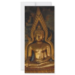 buddha rack cards