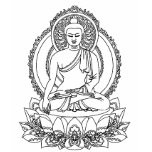 buddha shirt