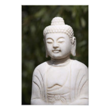 Buddha Statue Photo