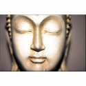 Buddha t-shirts