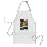 Buddhist Chenrezig Statue Aprons