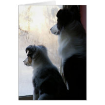 Buddies Card