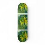 Budding False Sunflower Skateboard
