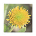 Budding Flower Magnet