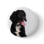 Buddy buttons
