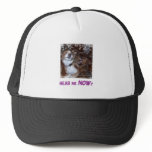 Buddy: Hear Me Now? hats