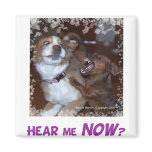 Buddy: Hear Me Now? magnets