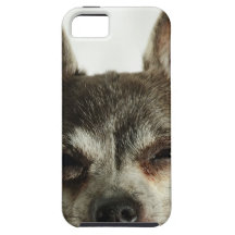 Buddy iPhone 5 Case