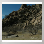 BUDDY LINE [Photo Prints]
