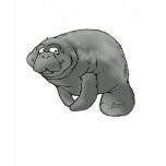 Buddy Manatee Navy Long Lady's t-shirts