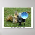 BUDDY P. SQUIRREL POSTER  posters