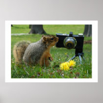 Buddy The Squirrel and his Camera Posters