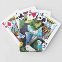 Budgerigar Parrots in Ferns Playing Cards