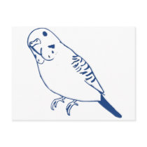 Budgerigar Post Cards