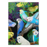 Budgerigars and Ferns Card