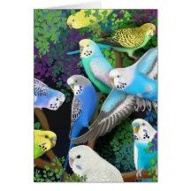 Budgerigars and Ferns Card