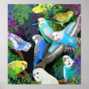 Budgerigars & Ferns Poster posters