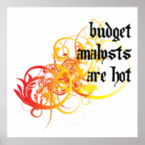 Budget Analysts Are Hot Posters