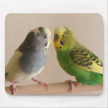 Budgie Mousepad