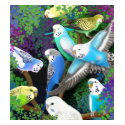 Budgie Parakeets and Ferns Ladies Baby Doll Shirt