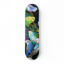 Budgie Parakeets Skateboard