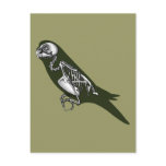 budgie skeleton post card